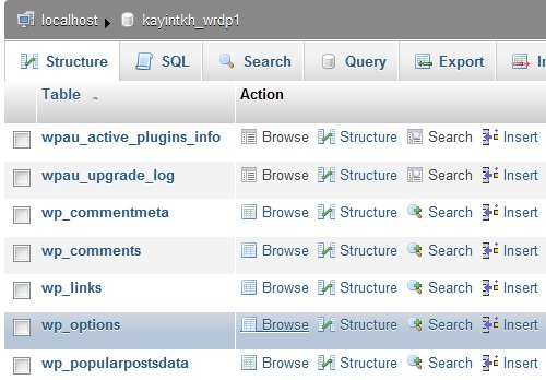 WordPress博客程序常见错误的解决方法