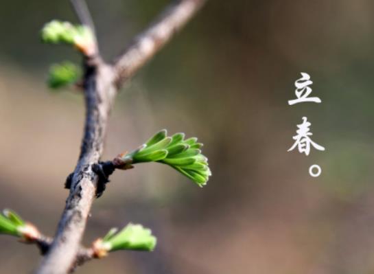 2024年立春是五九尾还是六九头？2024年立春是什么时间几点几分几秒