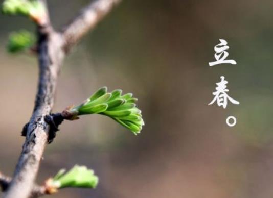 打春有什么讲究?2024年躲春的正确方法和技巧 打春有什么讲究?2024年躲春的正确方法和技巧