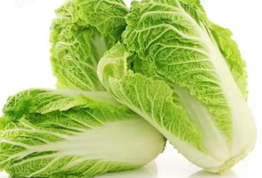 白菜啥时候种？大白菜怎么做好水肥管理