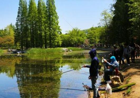 黑坑钓鱼没口怎么办?夜钓鱼饵最好怎么调 黑坑钓鱼没口怎么办?夜钓鱼饵最好怎么调